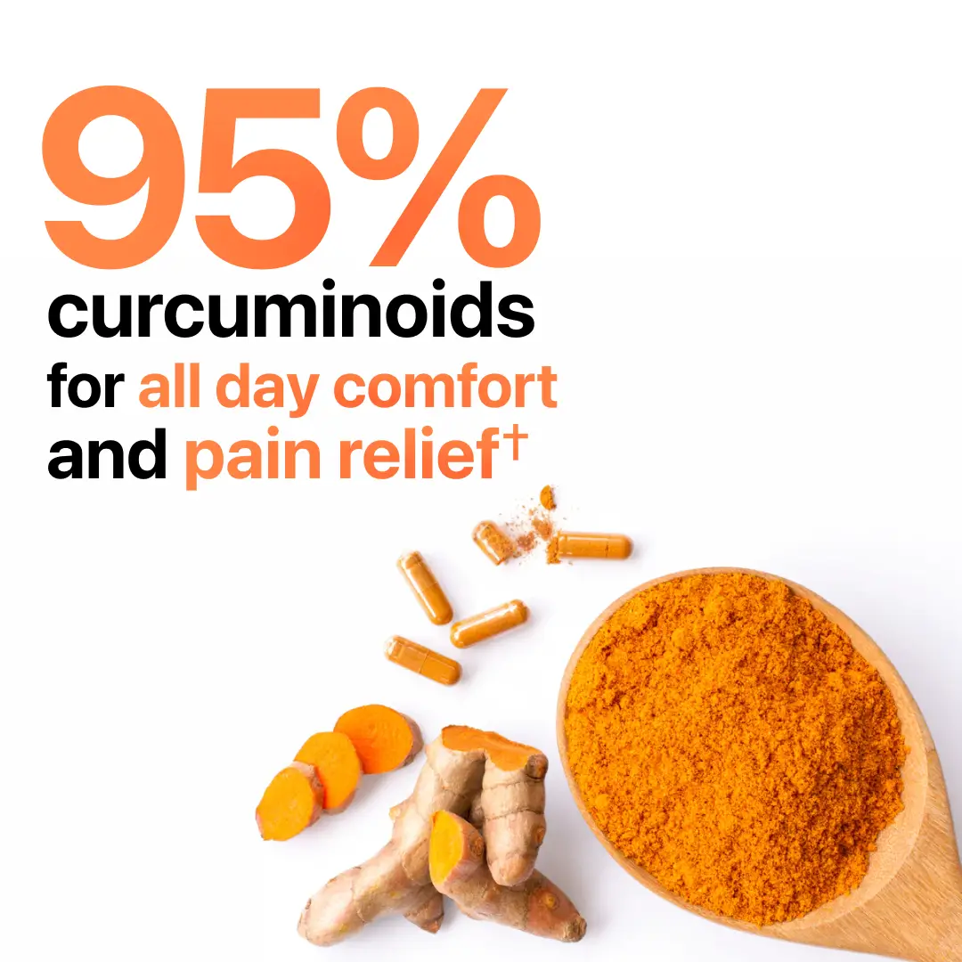 Turmeric Curcumin 95 - Image 3